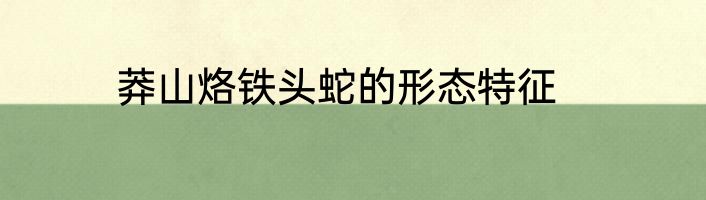 莽山烙铁头蛇的形态特征