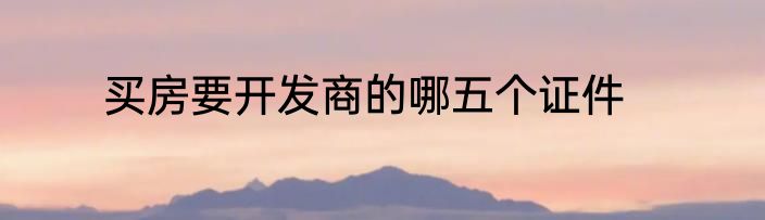 买房要开发商的哪五个证件