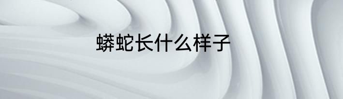 蟒蛇长什么样子