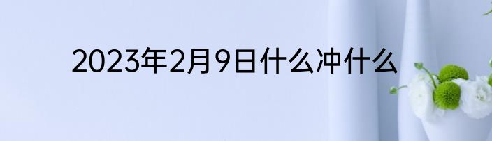 2023年2月9日什么冲什么