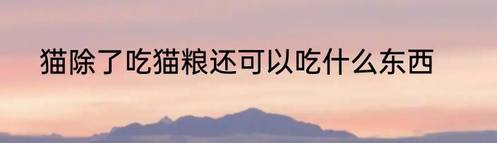 猫除了吃猫粮还可以吃什么东西