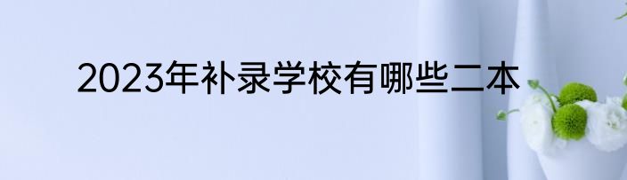 2023年补录学校有哪些二本