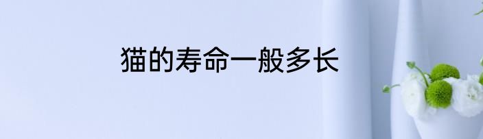 猫的寿命一般多长