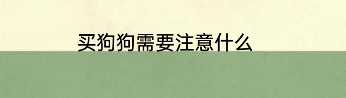 买狗狗需要注意什么