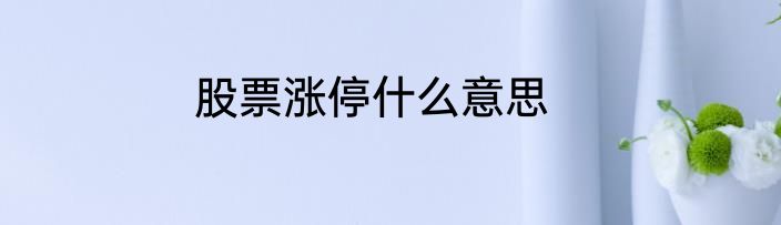 股票涨停什么意思