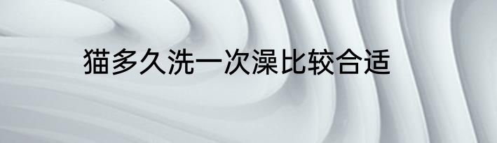 猫多久洗一次澡比较合适