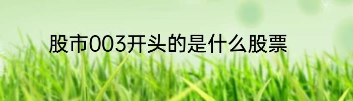 股市003开头的是什么股票