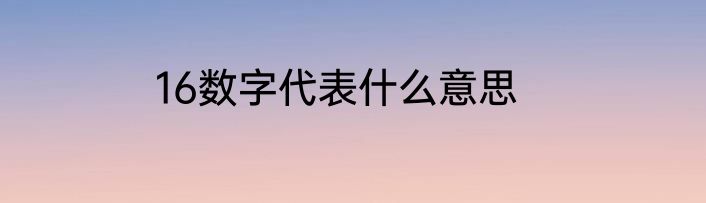 16数字代表什么意思