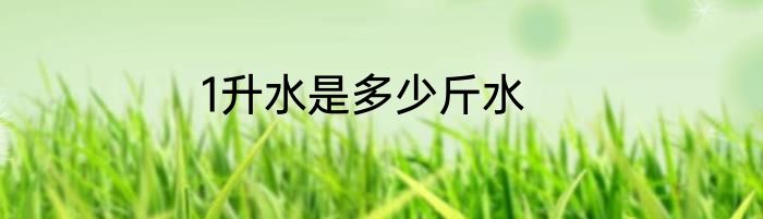 1升水是多少斤水