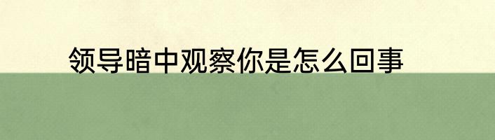 领导暗中观察你是怎么回事