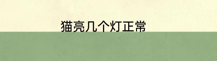 猫亮几个灯正常