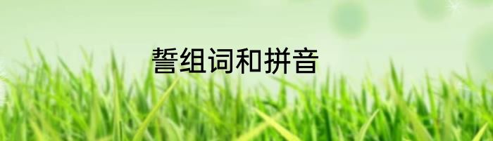 誓组词和拼音