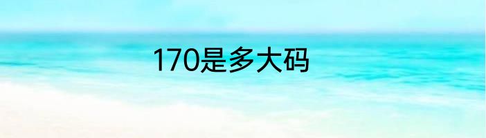 170是多大码