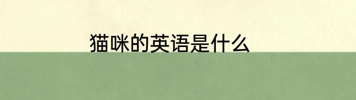 猫咪的英语是什么