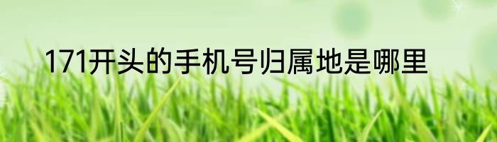 171开头的手机号归属地是哪里