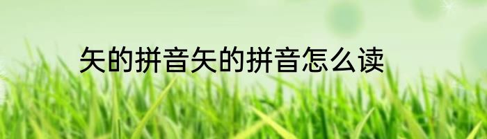 矢的拼音矢的拼音怎么读