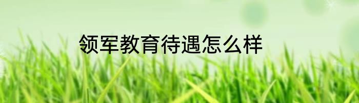 领军教育待遇怎么样