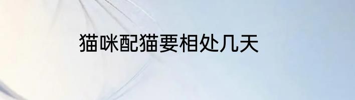 猫咪配猫要相处几天