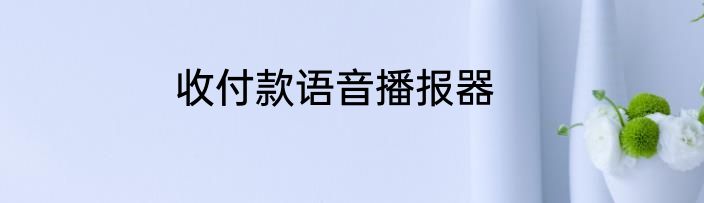 收付款语音播报器