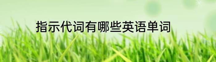 指示代词有哪些英语单词