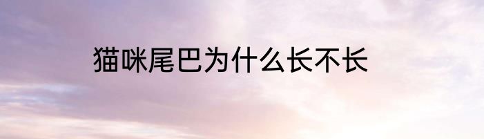 猫咪尾巴为什么长不长