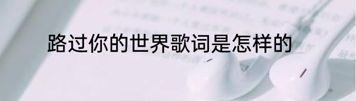路过你的世界歌词是怎样的