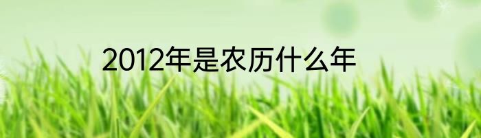 2012年是农历什么年
