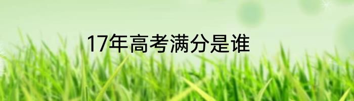 17年高考满分是谁