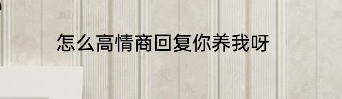 怎么高情商回复你养我呀