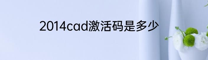2014cad激活码是多少