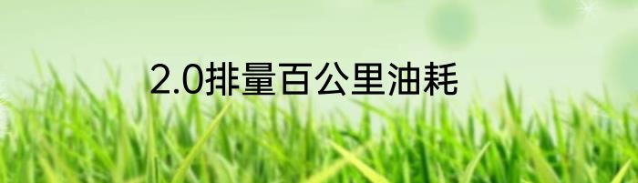 2.0排量百公里油耗