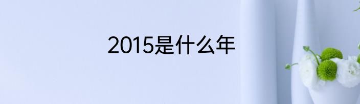 2015是什么年