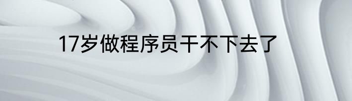 17岁做程序员干不下去了
