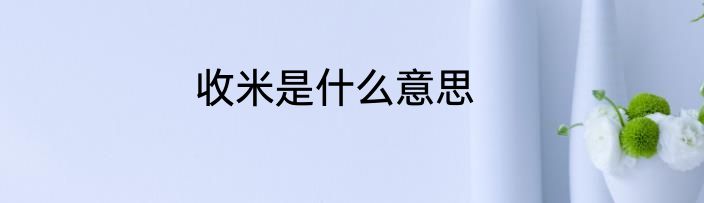 收米是什么意思