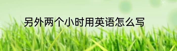 另外两个小时用英语怎么写