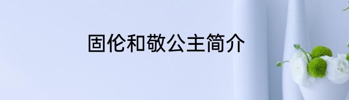 固伦和敬公主简介