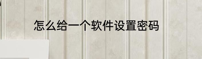 怎么给一个软件设置密码