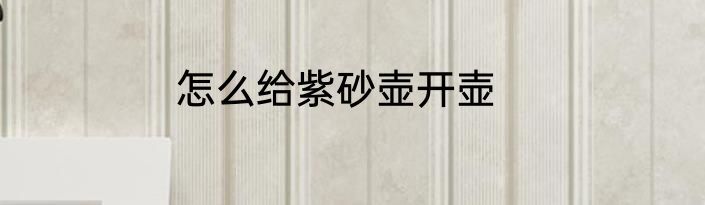 怎么给紫砂壶开壶