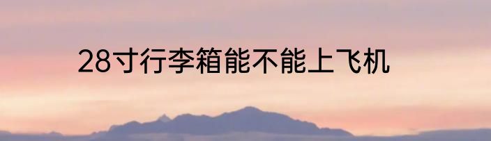 28寸行李箱能不能上飞机