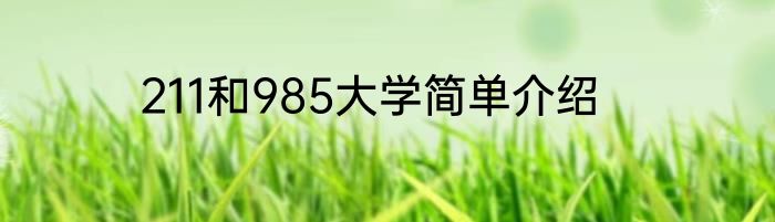 211和985大学简单介绍
