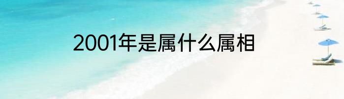 2001年是属什么属相