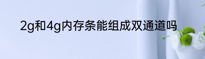 2g和4g内存条能组成双通道吗