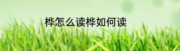 桦怎么读桦如何读