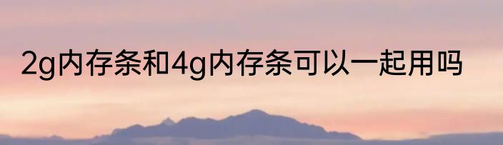 2g内存条和4g内存条可以一起用吗