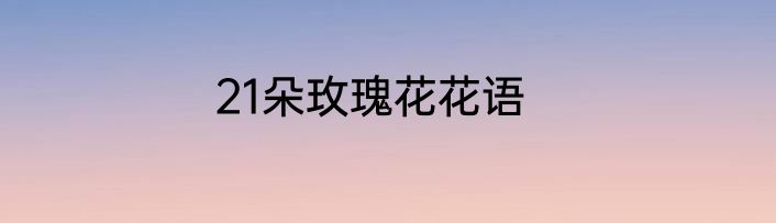 21朵玫瑰花花语