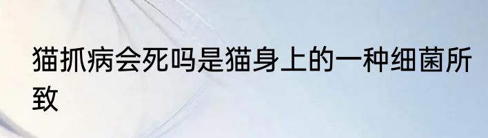 猫抓病会死吗是猫身上的一种细菌所致