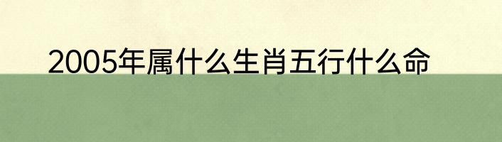 2005年属什么生肖五行什么命