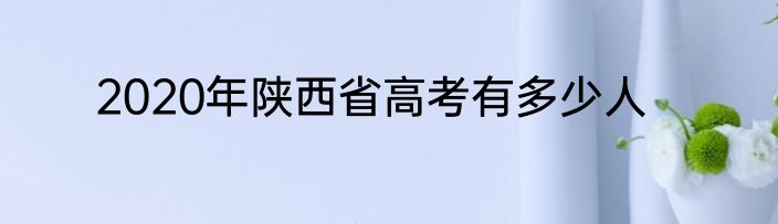 2020年陕西省高考有多少人