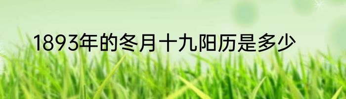 1893年的冬月十九阳历是多少