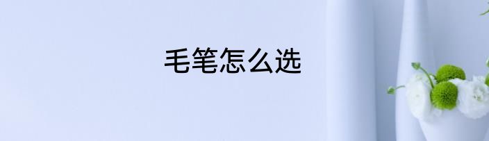 毛笔怎么选
